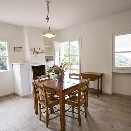 Jolie Apartament